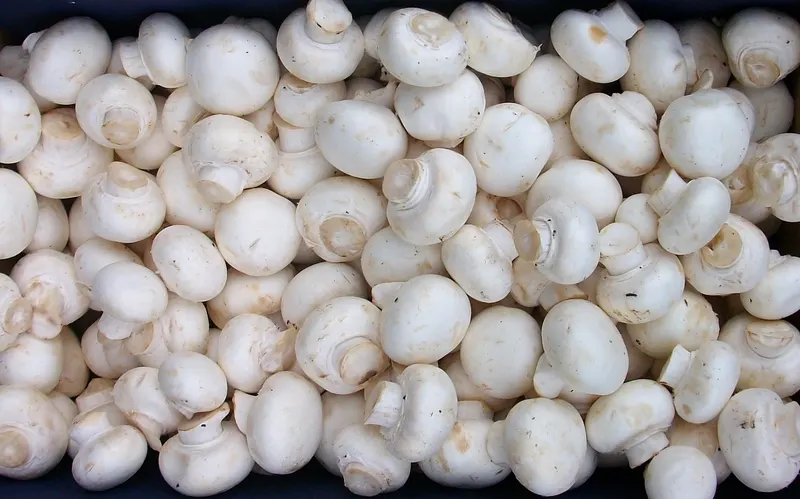 Button mushrooms