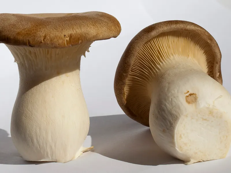 King oyster mushrooms